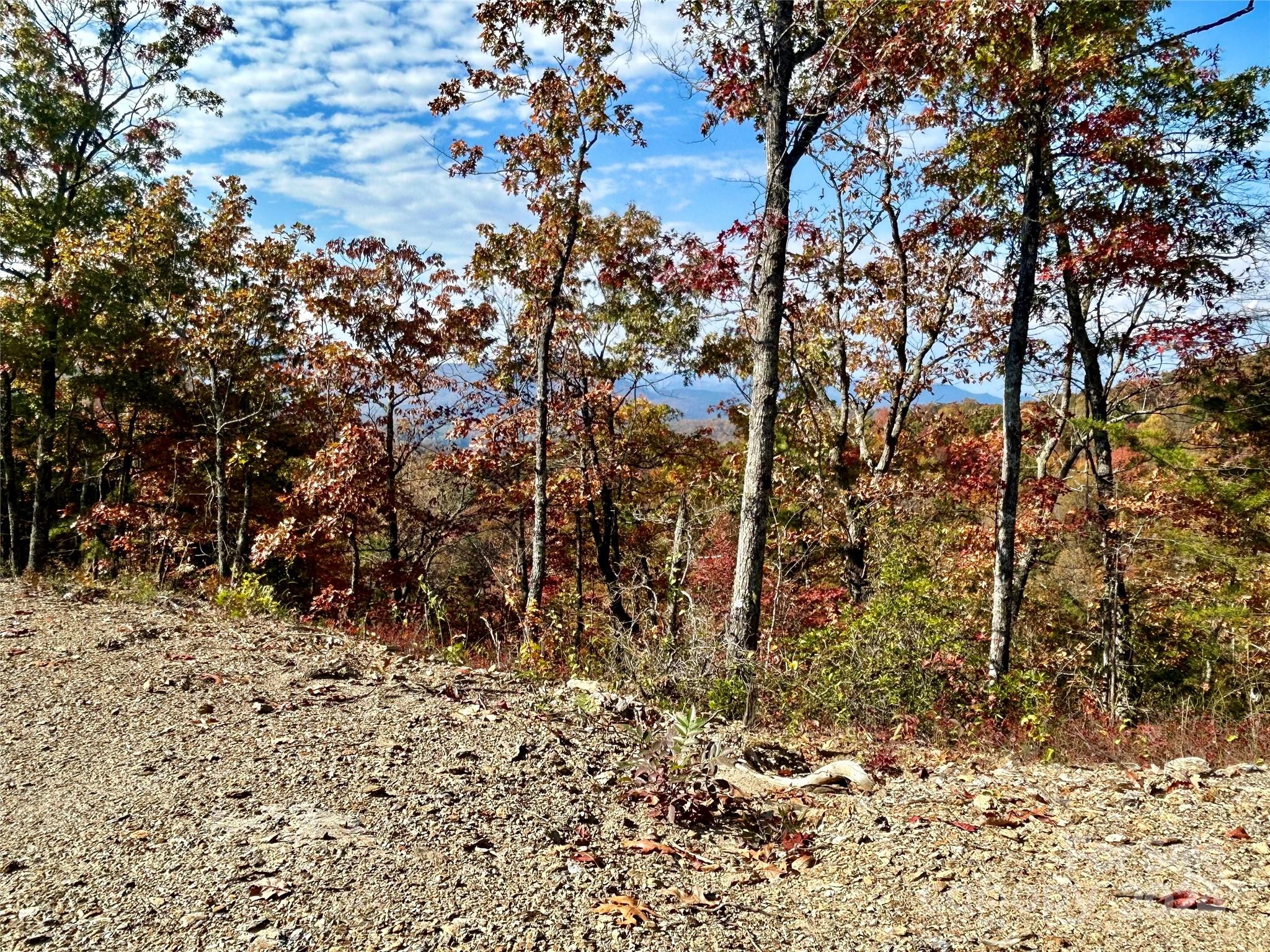 Fontana Lake Properties - Land