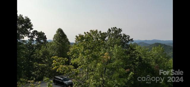Fontana Lake Properties - Land