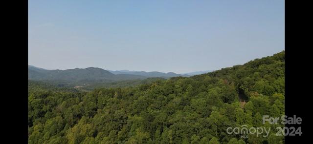 Fontana Lake Properties - Land
