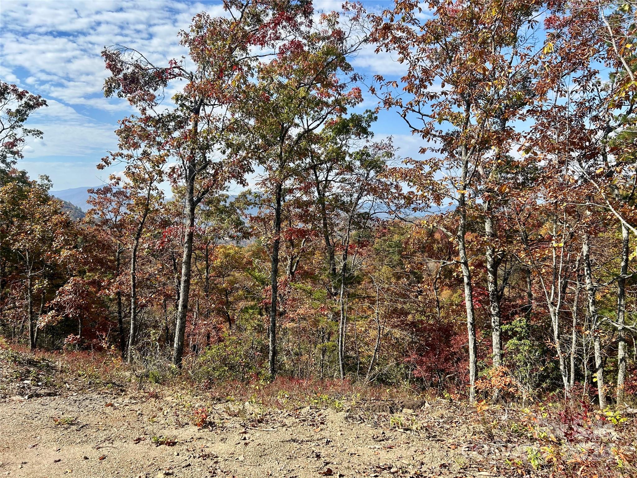 Fontana Lake Properties - Land