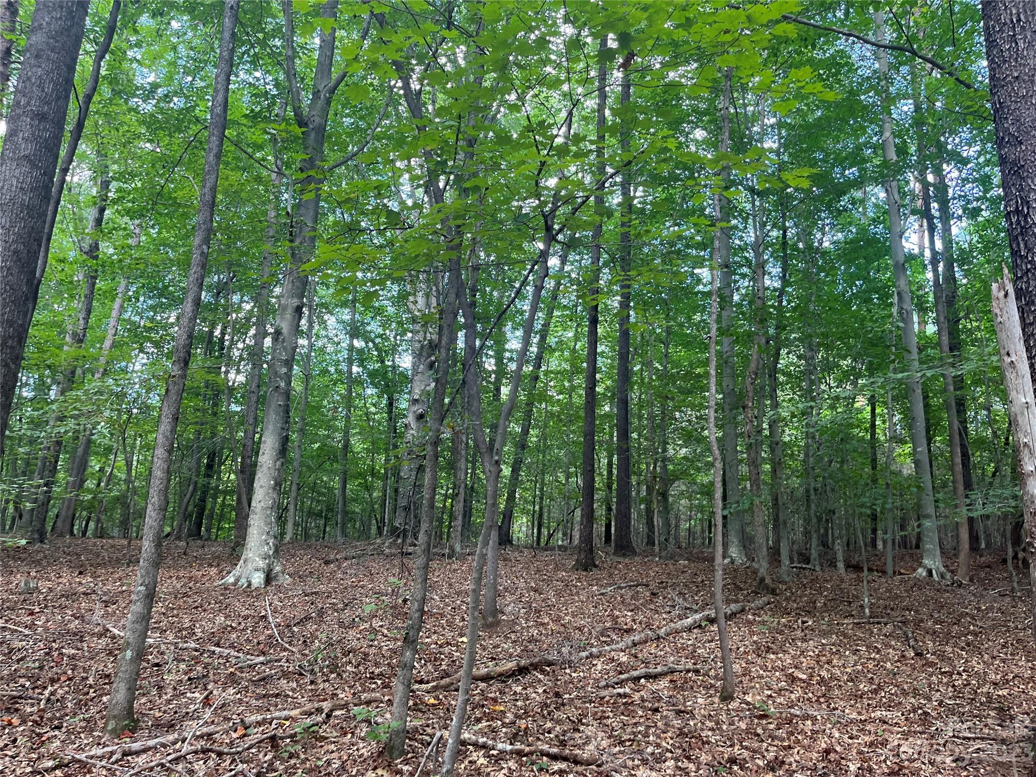 0 Fox Mountain Road 9