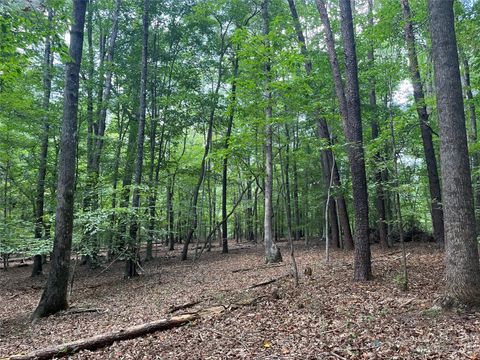 0 Fox Mountain Road 9 Columbus NC 28722