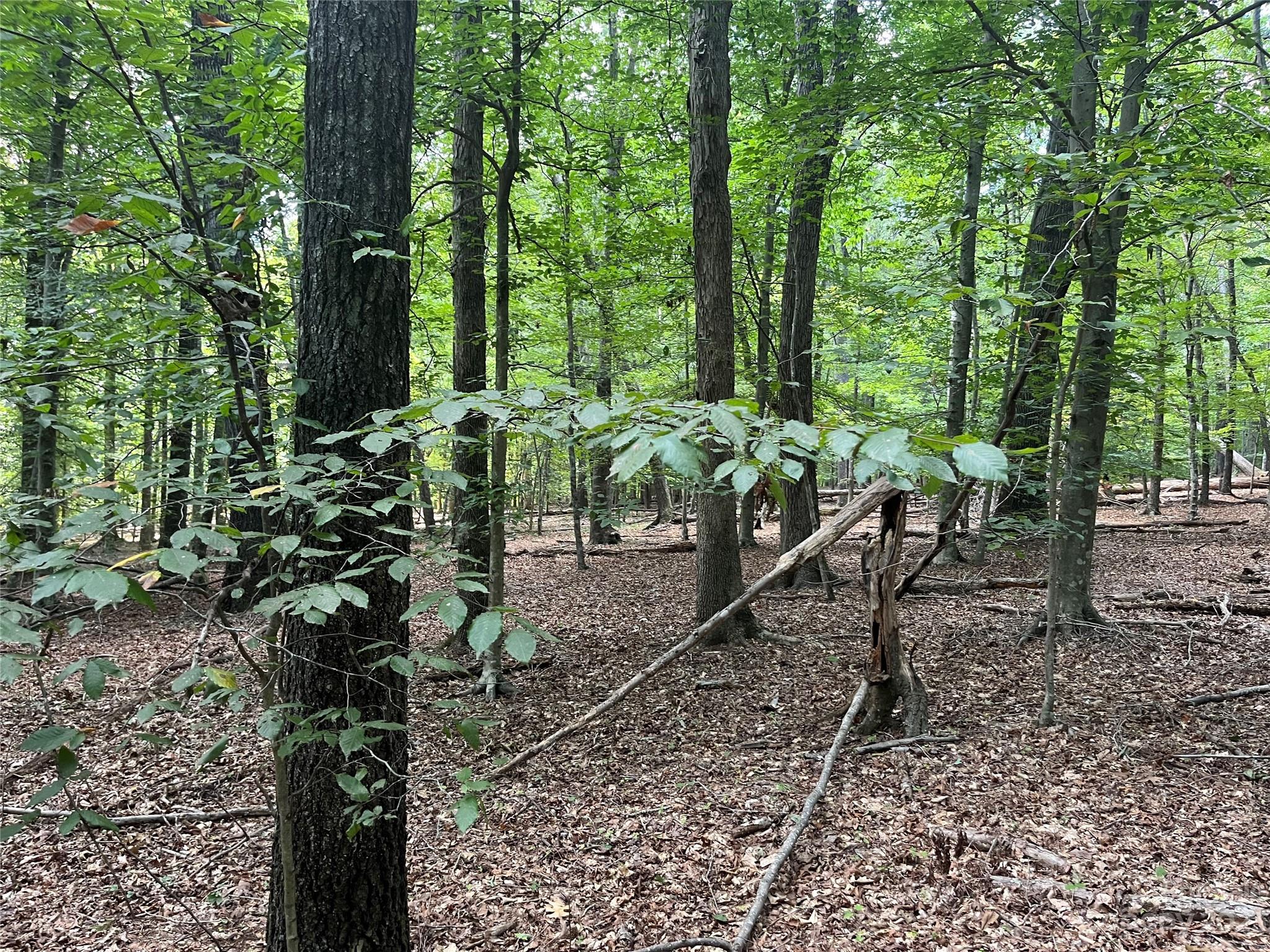 0 Fox Mountain Road 9