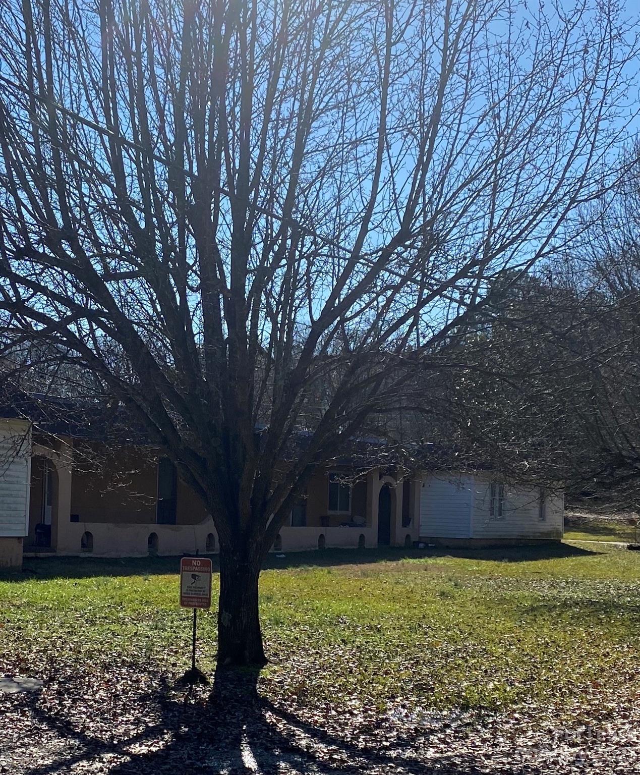 None - Residential Lease