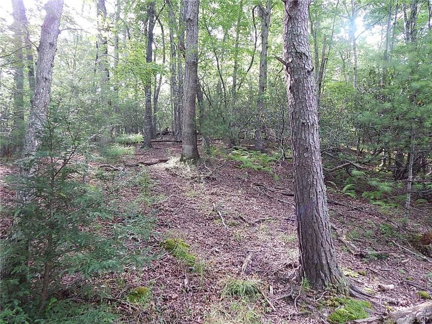 ONE OF JUST A FEW PROPERTIES OF THIS SIZE AVAILABLE IN NORTH MILLS RIVER AREA. WOODED, ROLLING PROPERTY WITH ONE AREA THAT IS STEEPER , THAT AJOINS NATIONAL FOREST. GREAT PLACE TO BUILD YOUR DREAM HOME WITH NICE STREAM THAT BOARDERS ONE SIDE OF PROPERTY. YOU WOULD HAVE PRIVACY WITH IN ONLY A MILE TO RECREATIONAL AREA AT THE END OF NORTH MILLS RIVER.