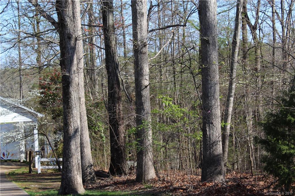 Springlake Estates - Land