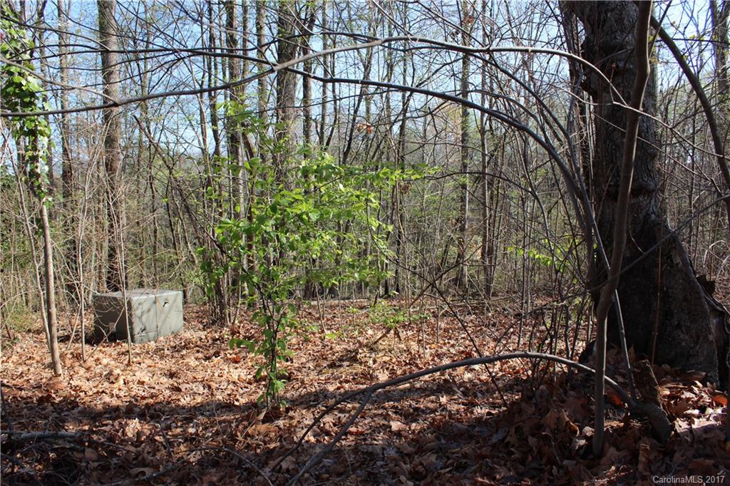 Springlake Estates - Land