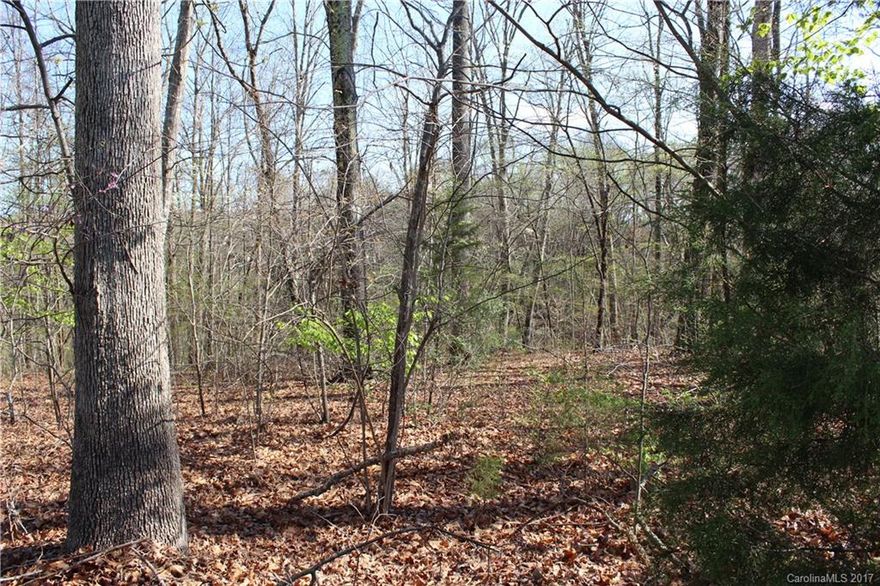 DRASTIC PRICE REDUCTION!!!!!!!!Ready to build, this is the perfect lot for you.  Located in a small, unique, neighborhood.  This lot shares lake frontage with Spring Lake Country Club.  Lot is over an acre, gentle slopping. Has community water, and would require a septic tank.  It is located in the County, but only minus away from  shopping, allowing you to enjoy low county taxes.  If you are looking for a community with character, this would be the lot for you. 1500 sq ft min