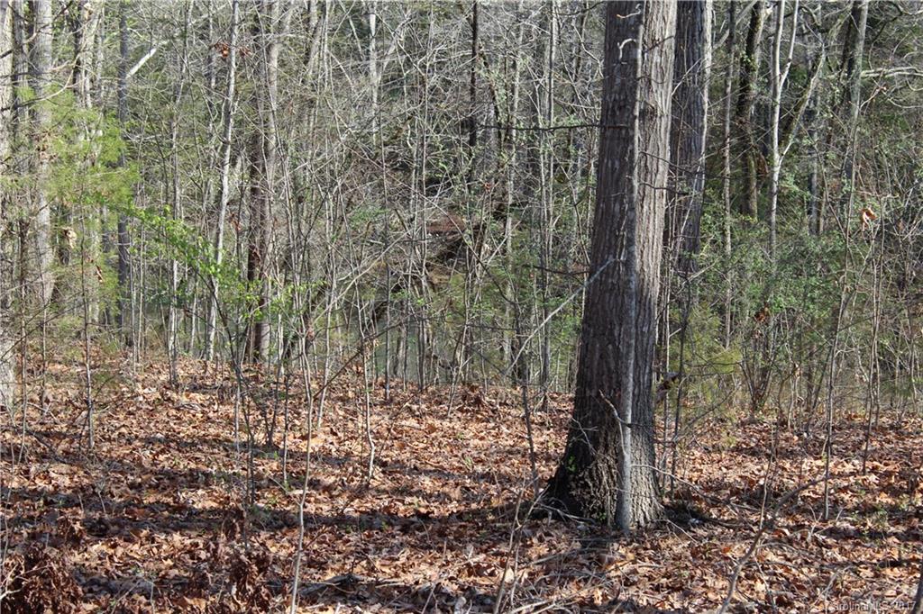 Springlake Estates - Land