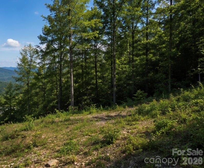 103 One Feather Road