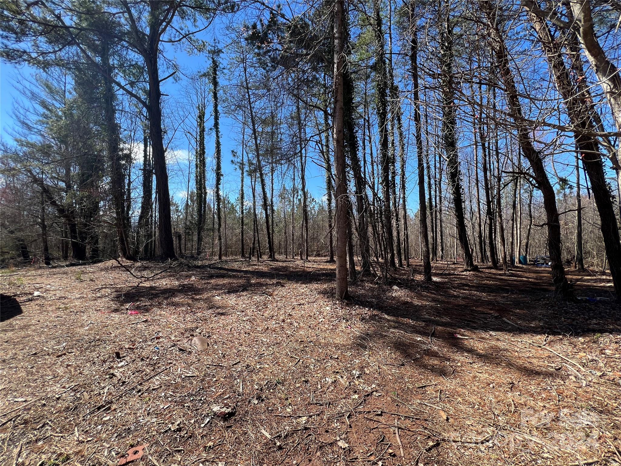 Mountain View Park - Residential