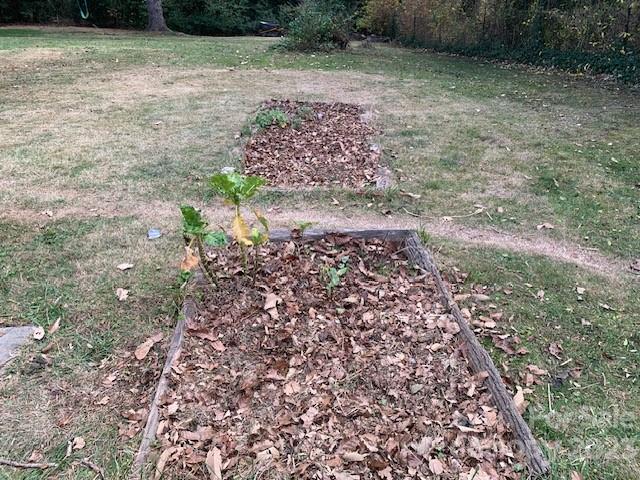 MOUNTAIN LOOKOUT - Residential
