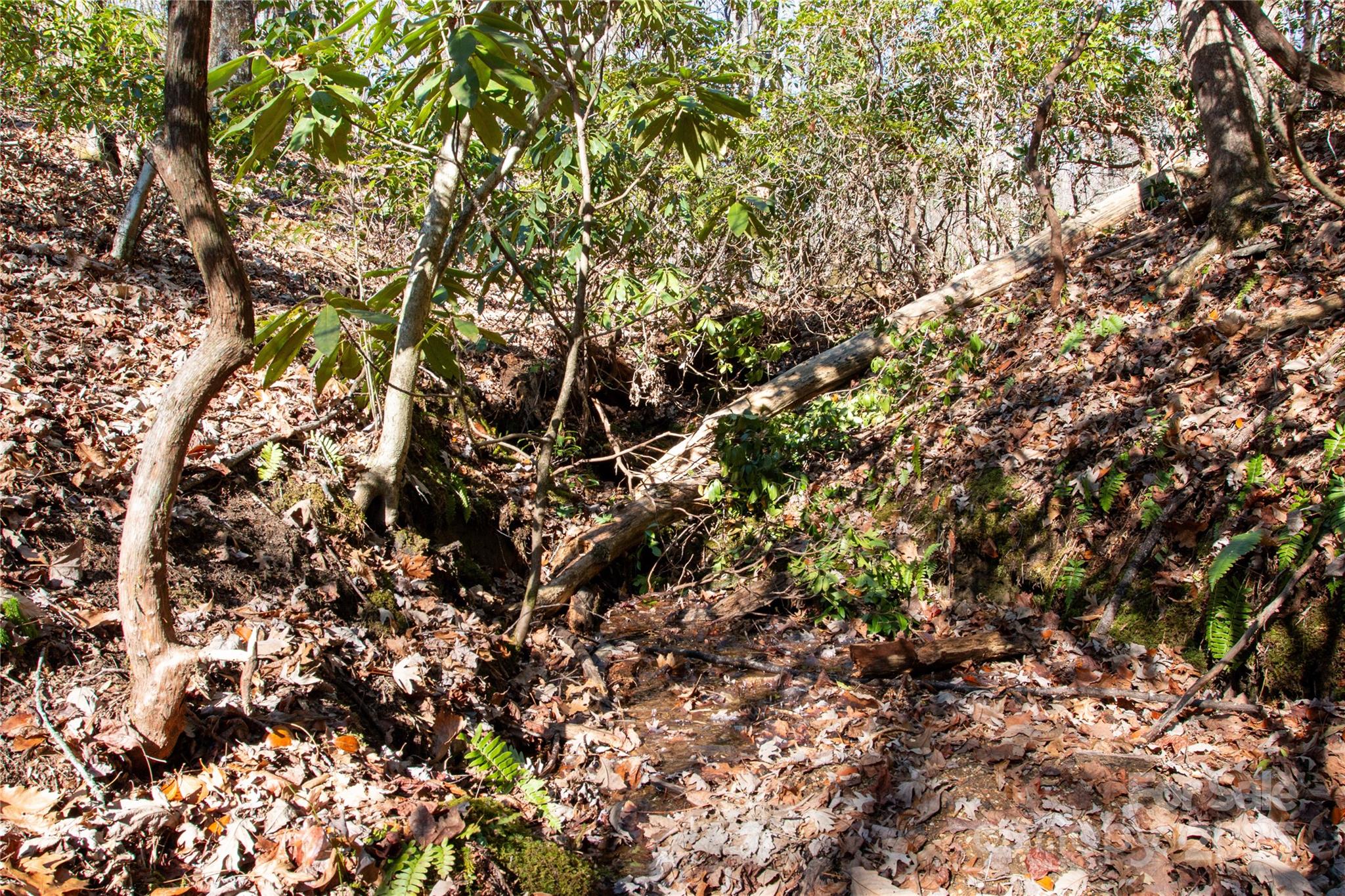 Lot 26 Big Branch Road