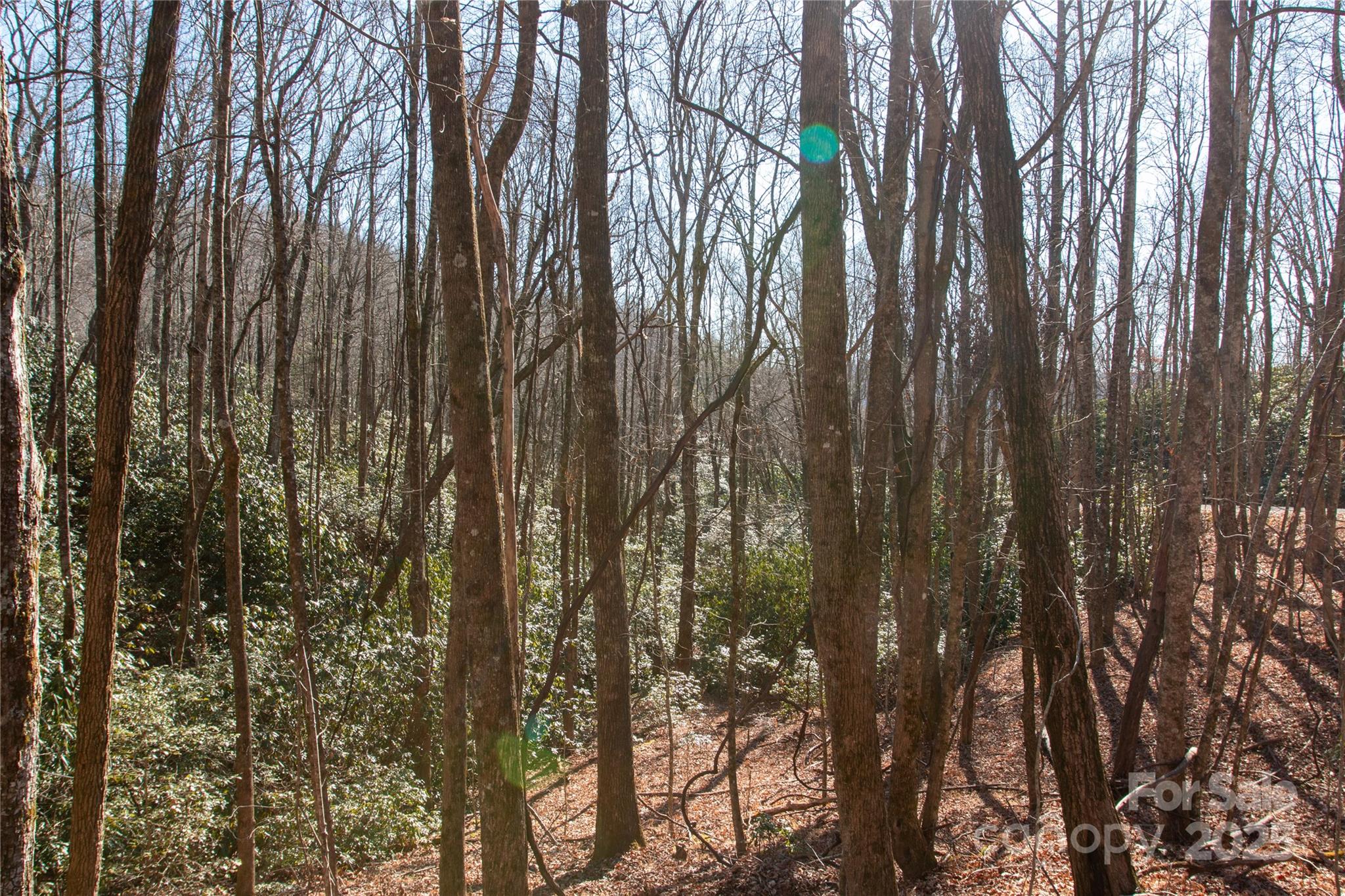 Lot 26 Big Branch Road