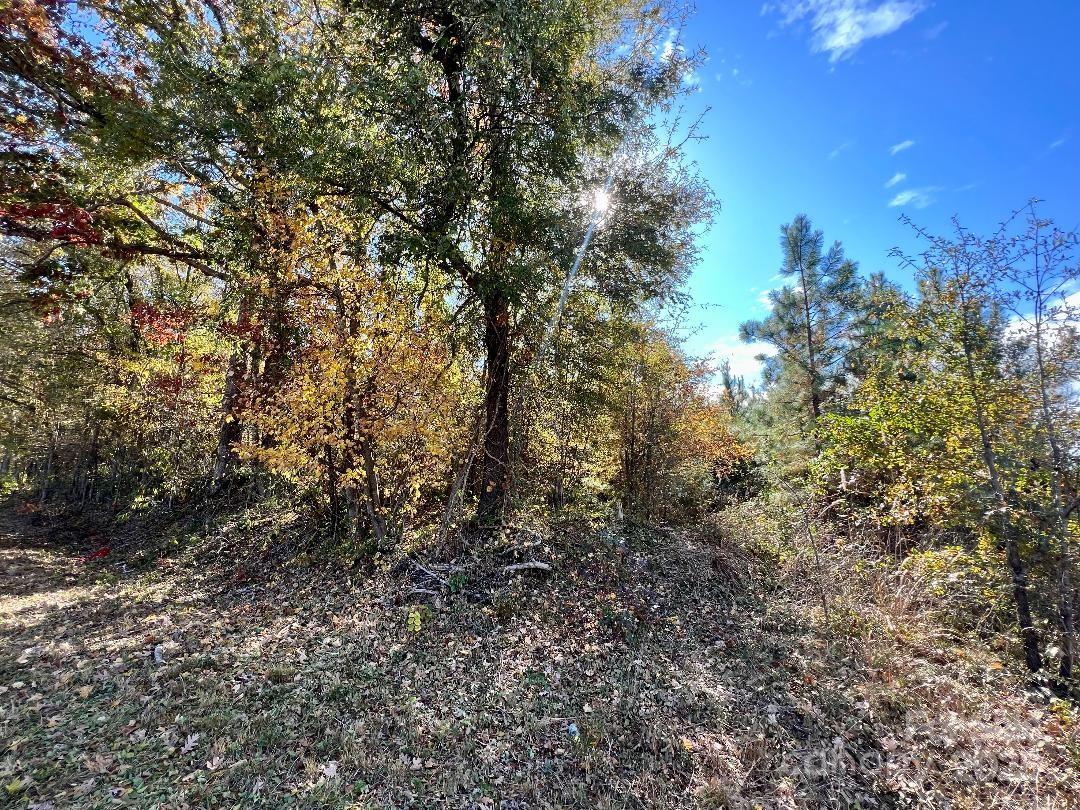 11.53 acres Old Camden Highway