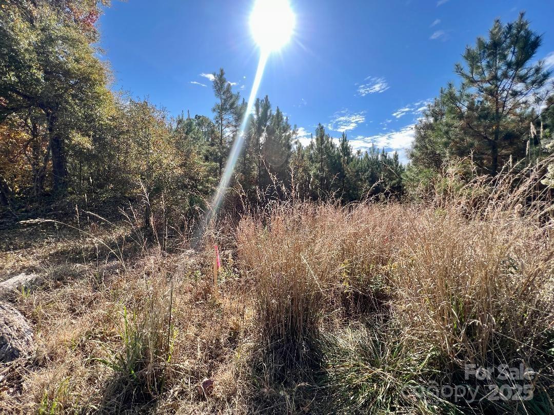 11.53 acres Old Camden Highway