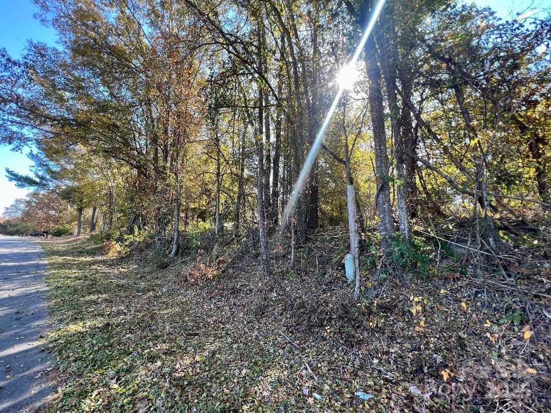 11.53 acres Old Camden Highway