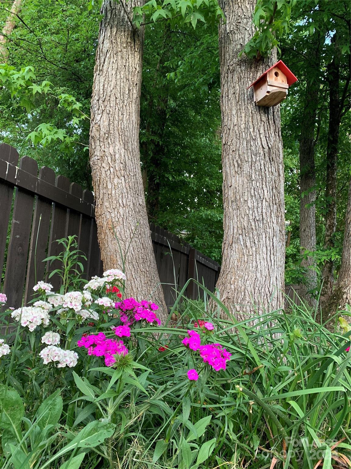 Vermillion - Residential Lease