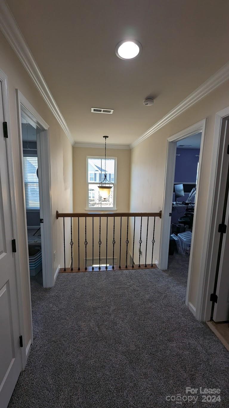 Vermillion - Residential Lease