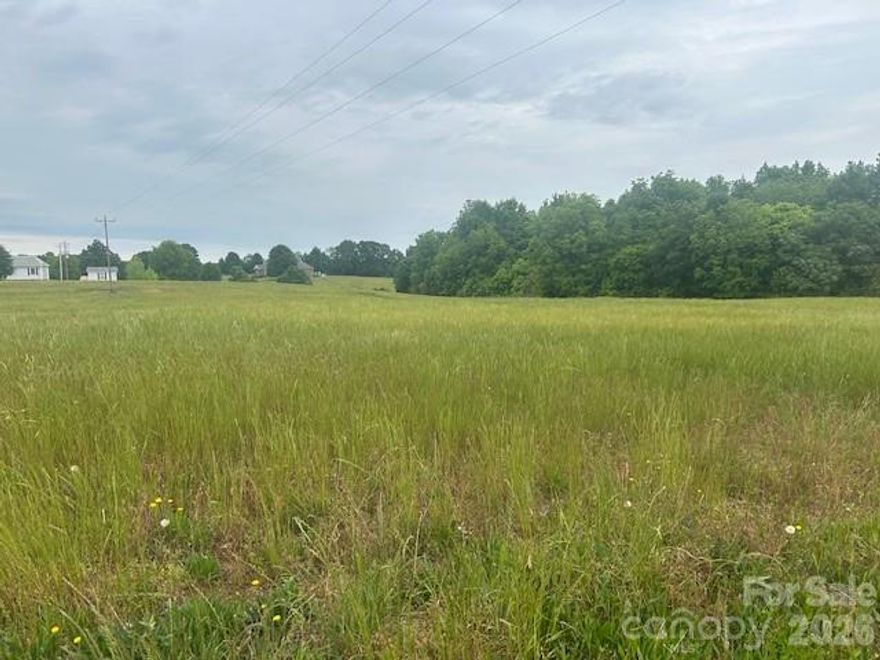8.58+/- acres but located 10 minutes from Monroe, Marshville and Wingate plus 10 minutes to the Monroe bypass giving you quick access to Charlotte, Indian Trail and Matthews. This gently rolling land has multiple home sites that have preliminary soil work for septic systems. Road frontage on Old Pageland Marshville Road and White Store Road. This property also has access to county water which is a big plus for rural properties. Being close to fire dept and having county water may decrease your homeowner's insurance premium. Buy this 8.58 +/- acres for what a few acres cost in other areas of the county. Buy for an investment! Land prices will continue to increase!
