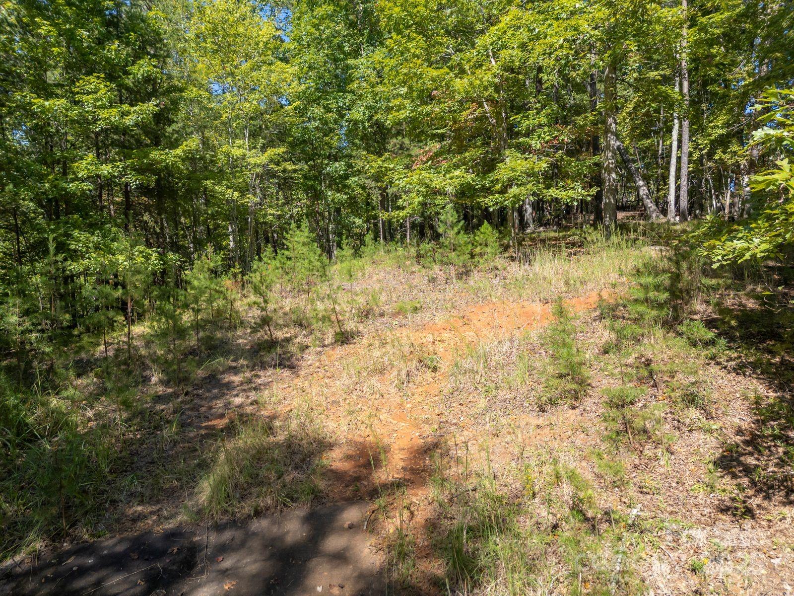 Mountain Park at Lake Adger - Land