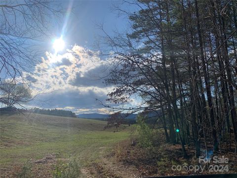 0 N Lynch Road SW Mill Spring NC 28756