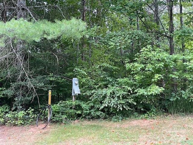 The Wildwoods - Land