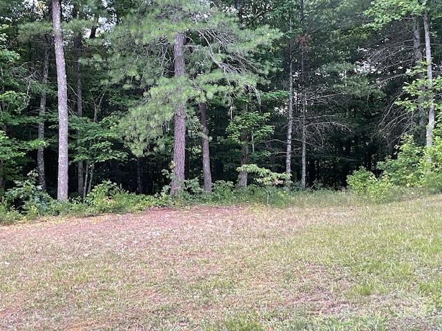 The Wildwoods - Land