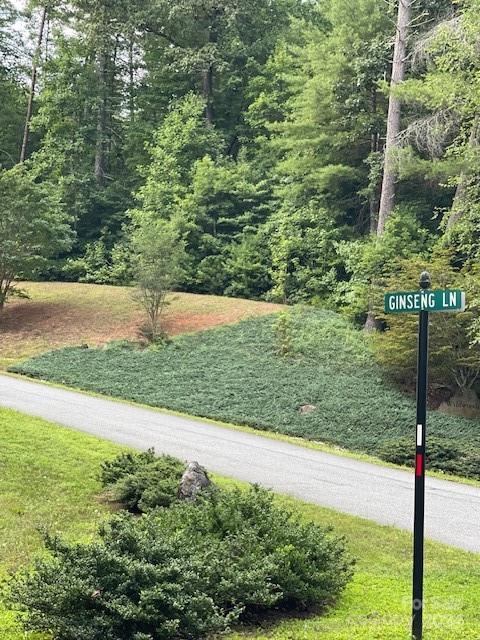 The Wildwoods - Land