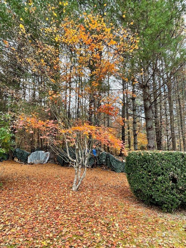 The Wildwoods - Land