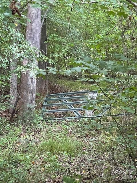 The Wildwoods - Land