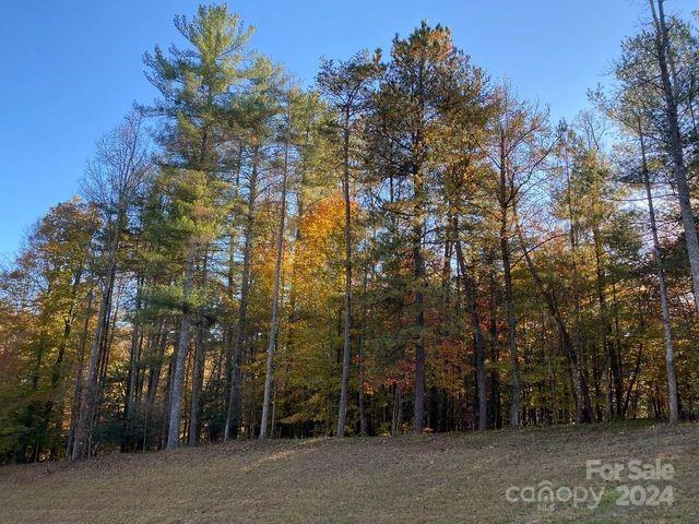 The Wildwoods - Land