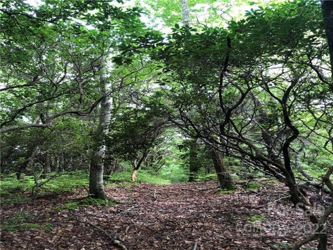 Photo for TBD Off Little Elbow Mountain Road