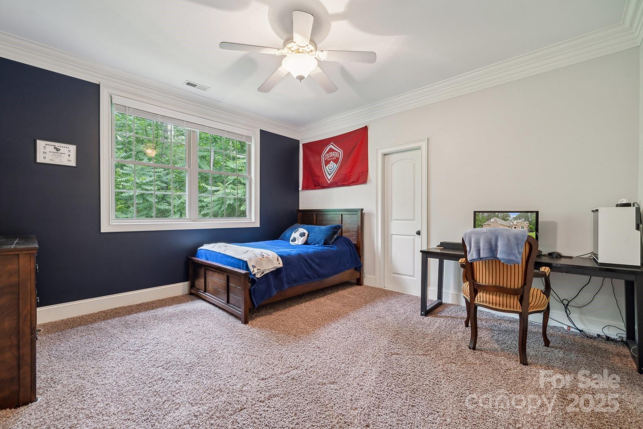 Palm Tree Cove - Residential