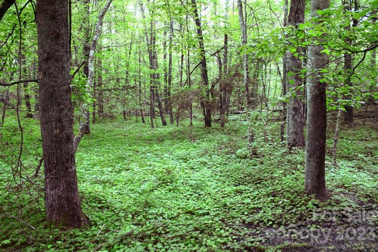 0 Westridge Drive 88