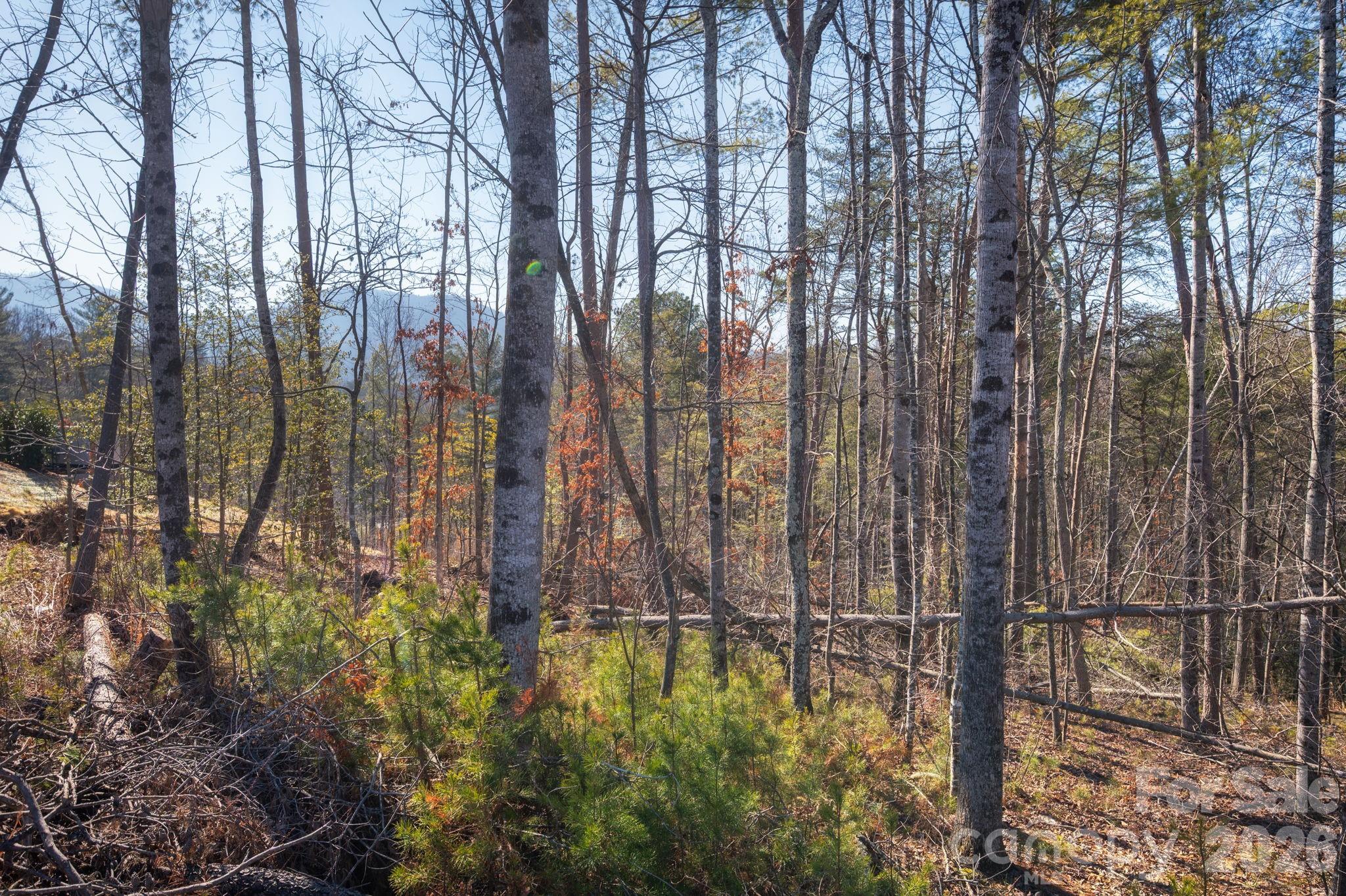 161 Riverbend Forest Drive 9