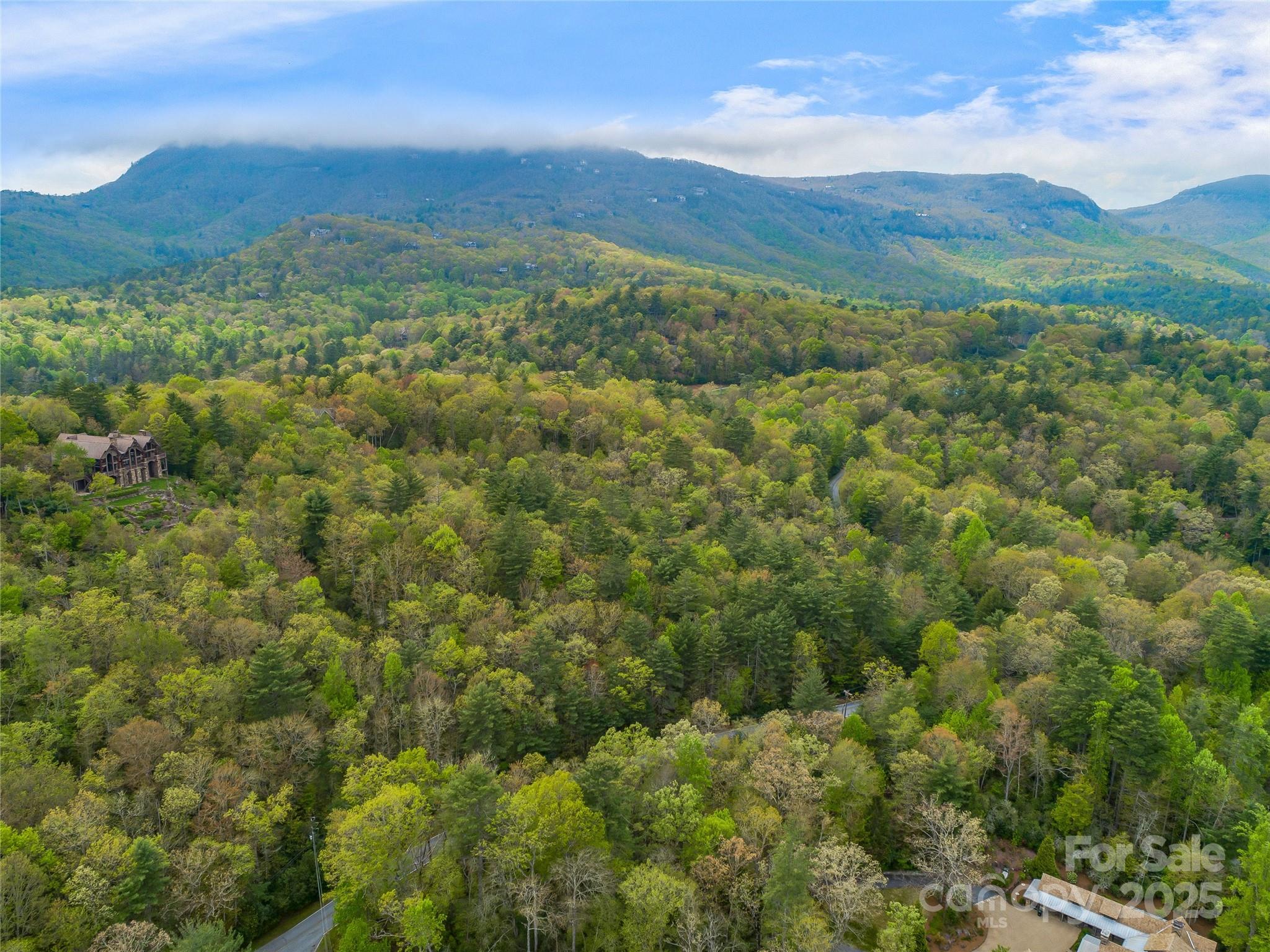 Lake Toxaway Estates - Land