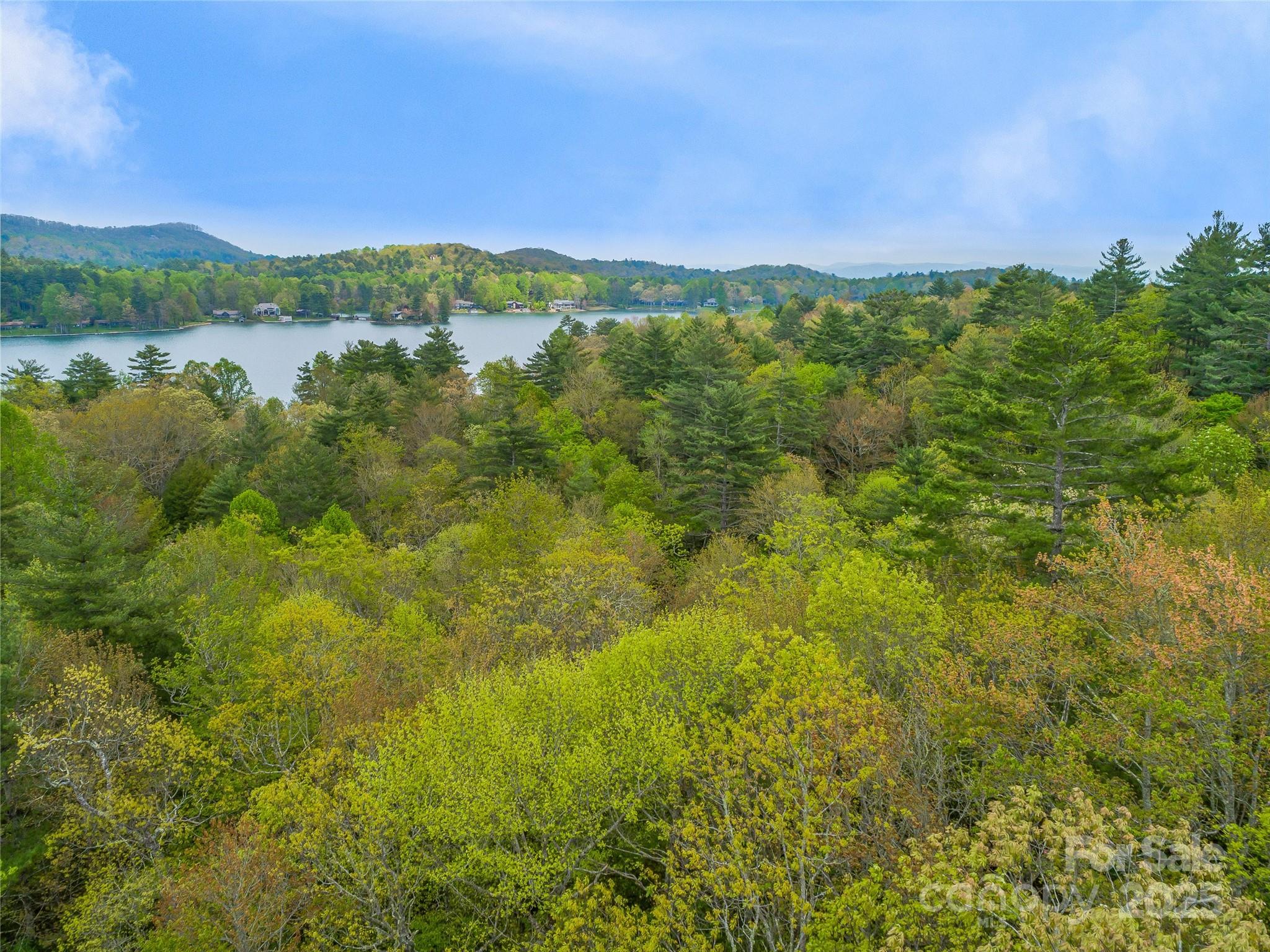 Lake Toxaway Estates - Land