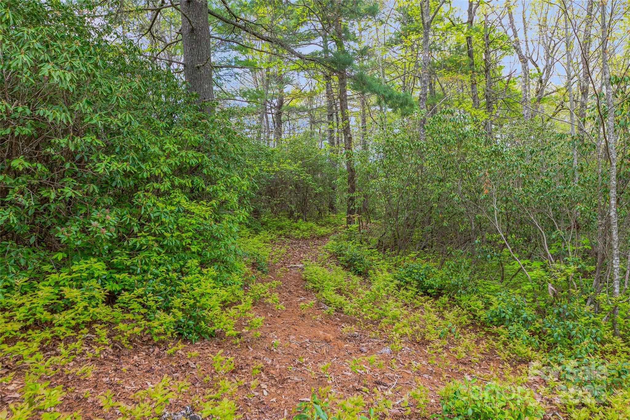Lake Toxaway Estates - Land