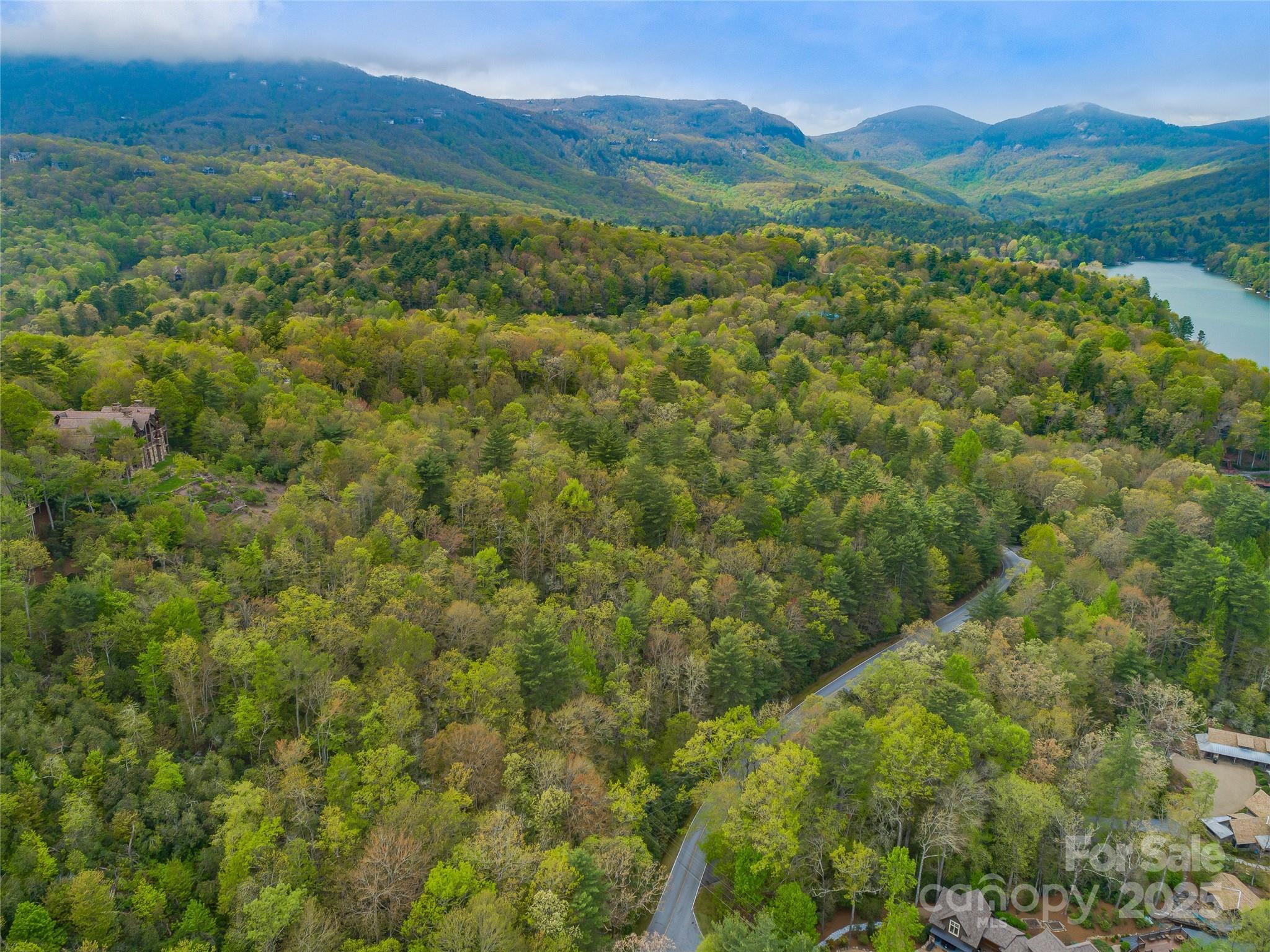 Lake Toxaway Estates - Land