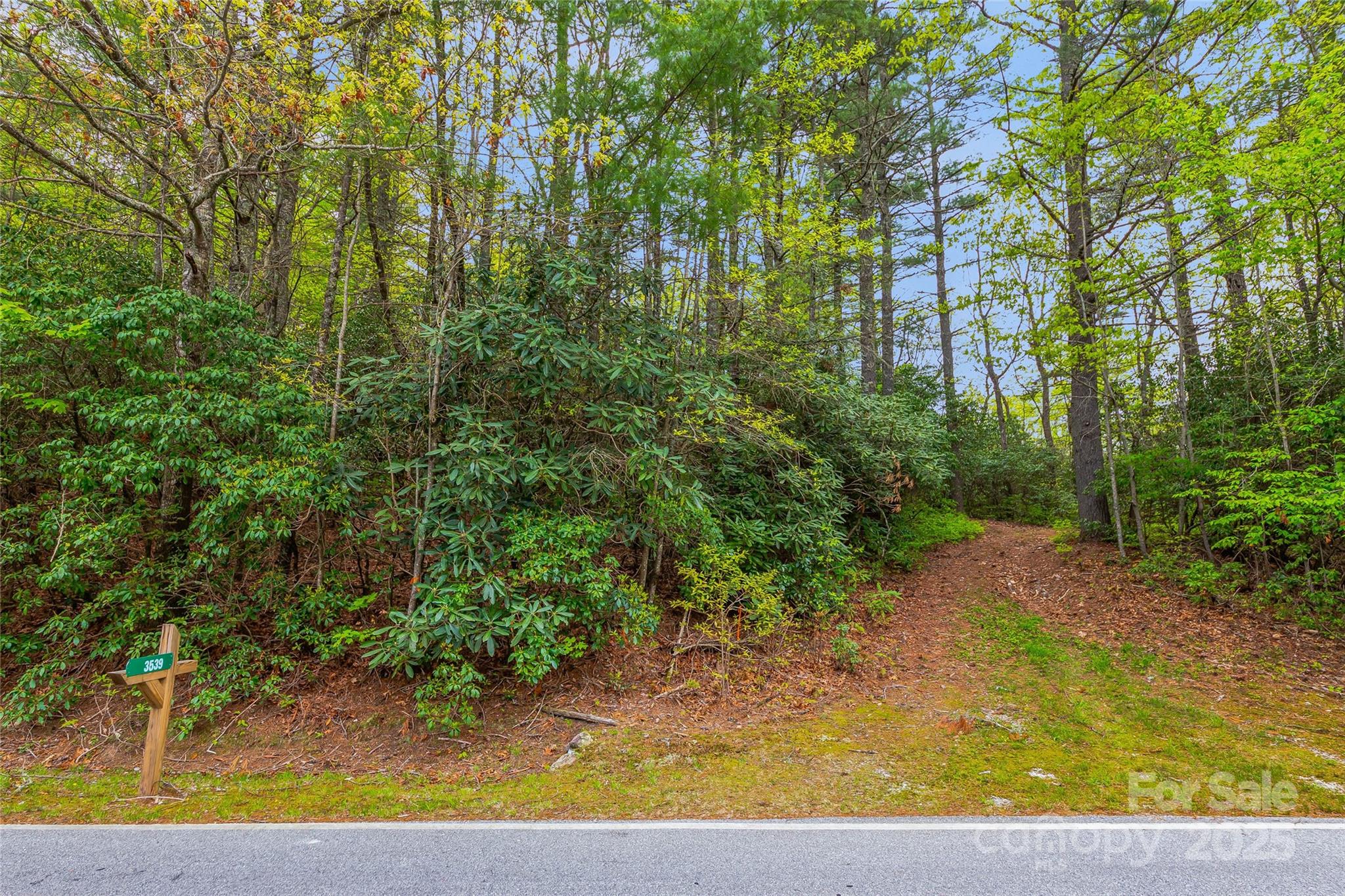 Lake Toxaway Estates - Land