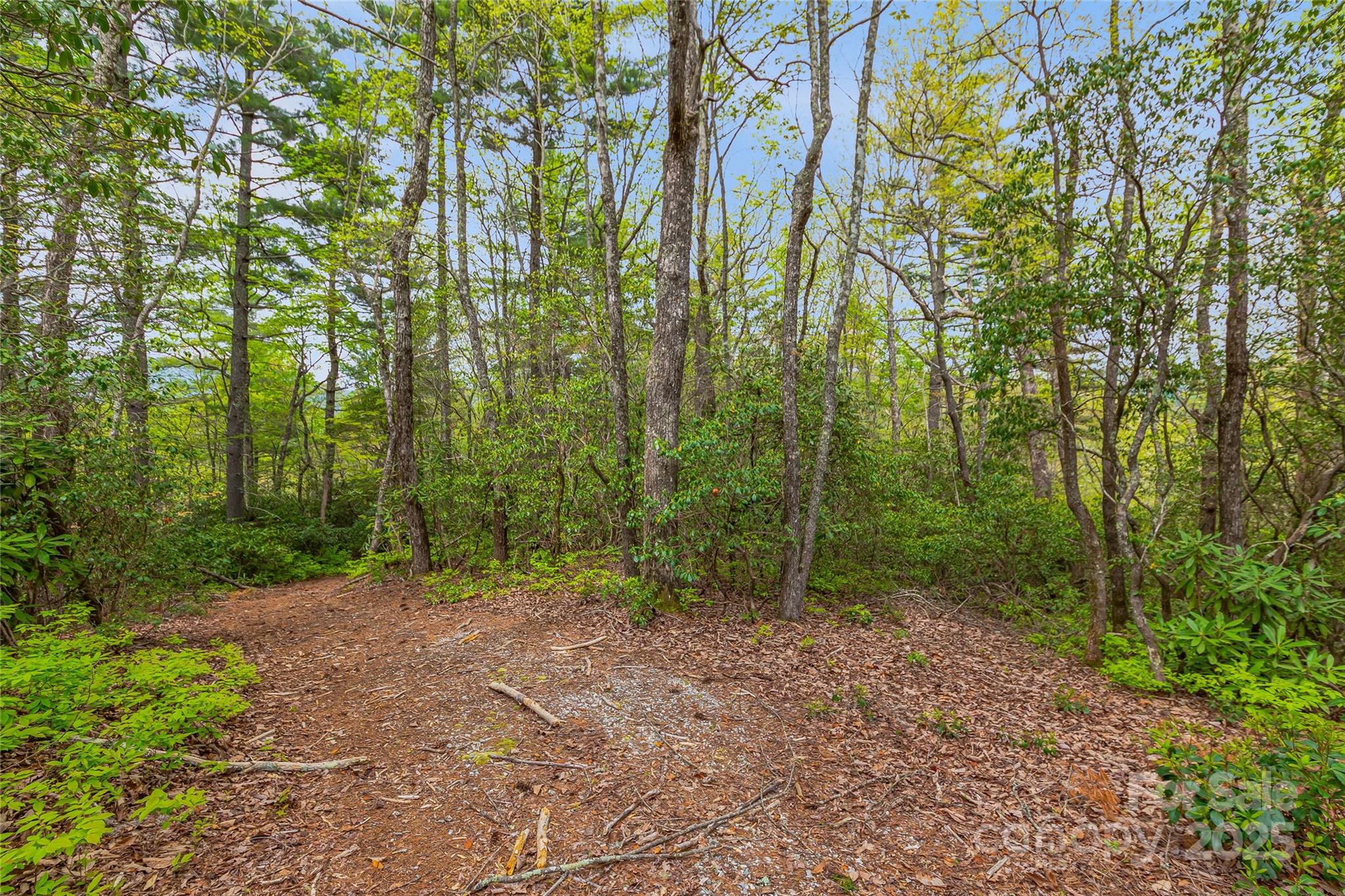 Lake Toxaway Estates - Land