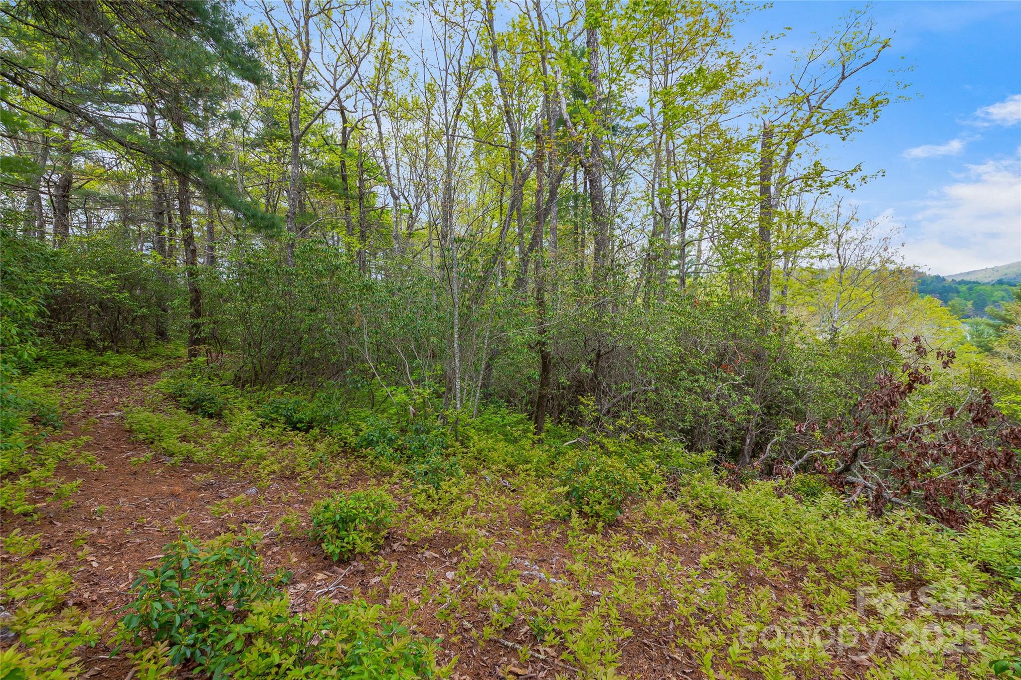 Lake Toxaway Estates - Land