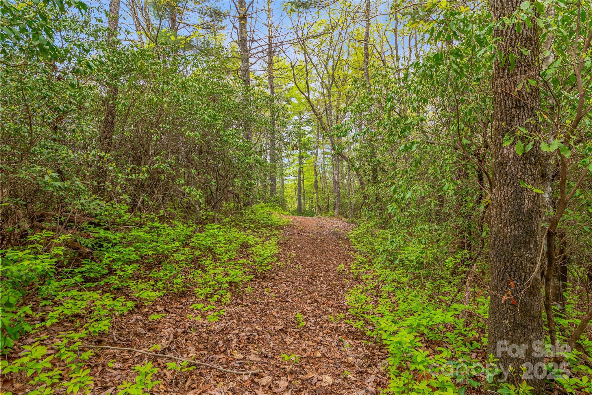 Lake Toxaway Estates - Land