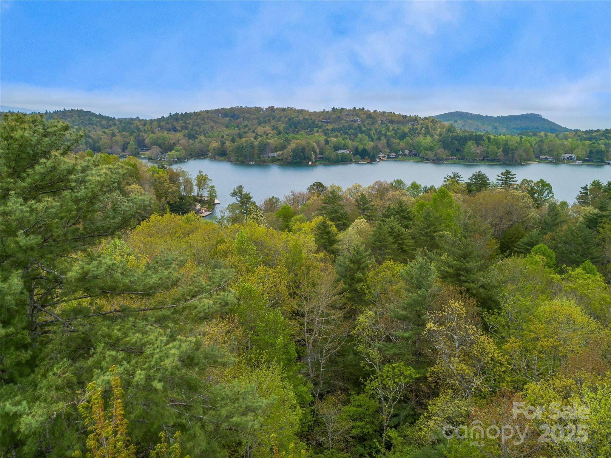Lake Toxaway Estates - Land
