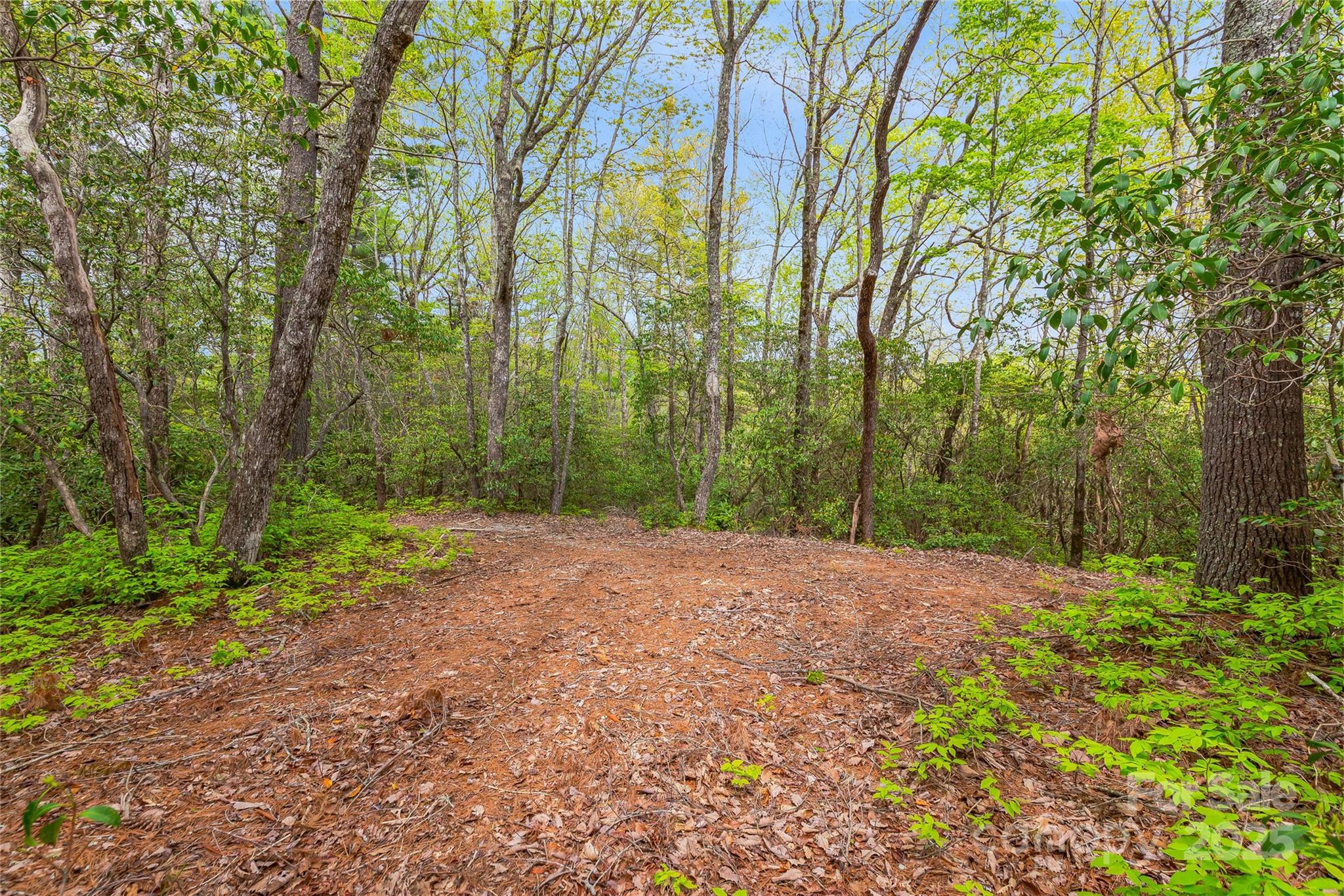 Lake Toxaway Estates - Land