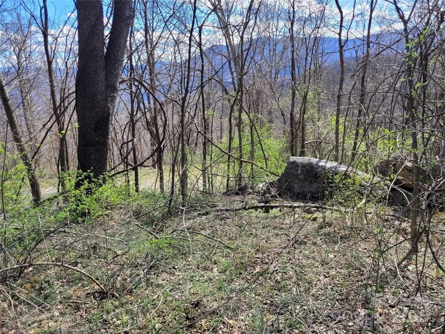 Discover the perfect canvas for your future home on this pristine 1.5-acre undeveloped parcel in the gated community of The Willows in Waynesville, NC. Nestled on Purple Martin Lane, this lot offers views of the majestic Smoky Mountains. Enjoy panoramic forest vistas in a private and peaceful neighborhood only 20 minutes from Maggie Valley and 30 minutes to downtown Waynesville. A gate code is required for access, appointments for viewing are required. Don't miss this opportunity to own a slice of paradise in the Smokies!