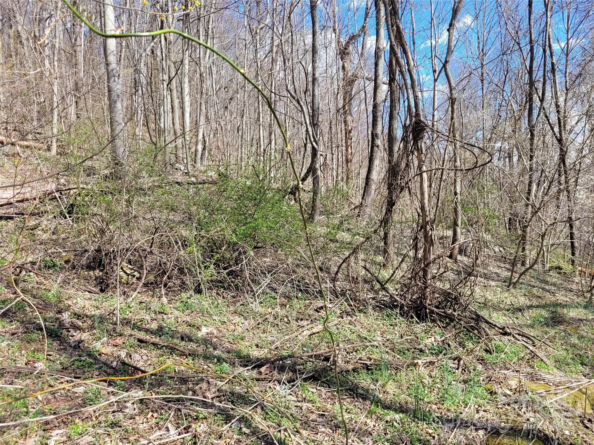 0 Purple Martin Lane 22