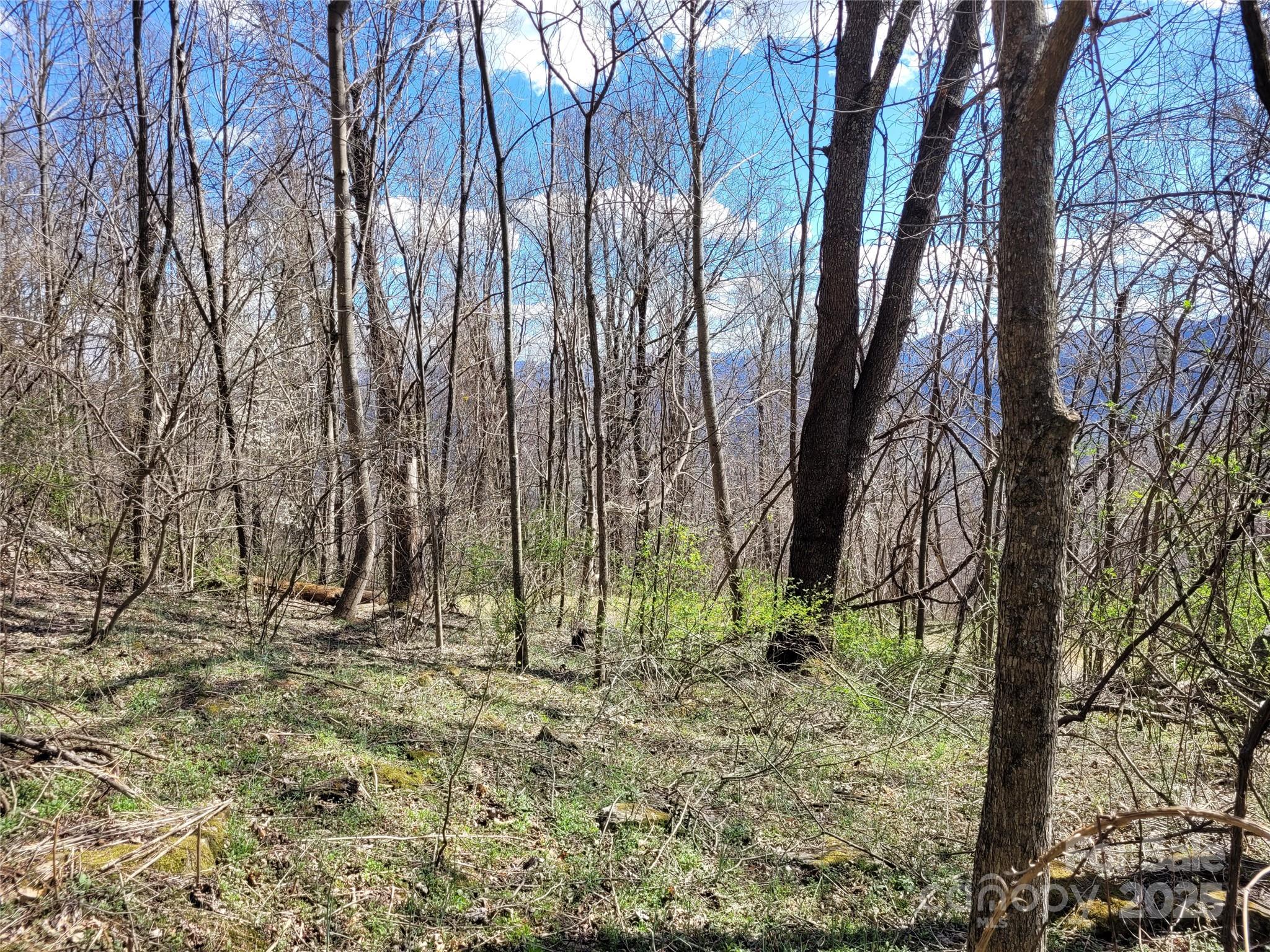 0 Purple Martin Lane 22