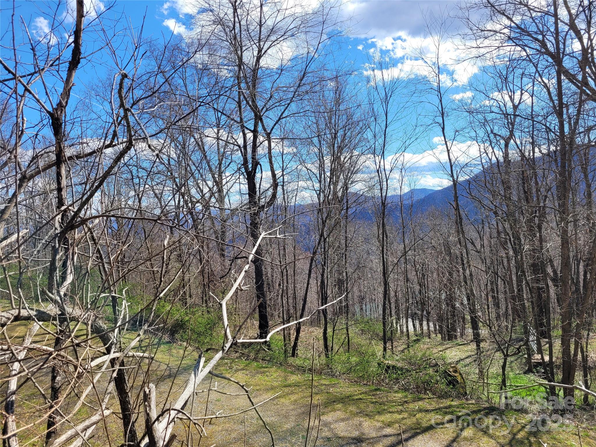 0 Purple Martin Lane 22